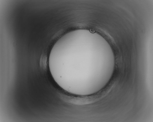 X0000102000024200808011131