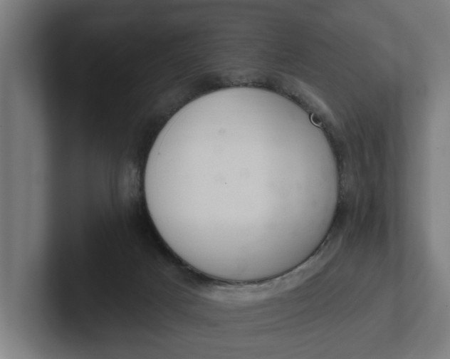 X0000102000025200808011131