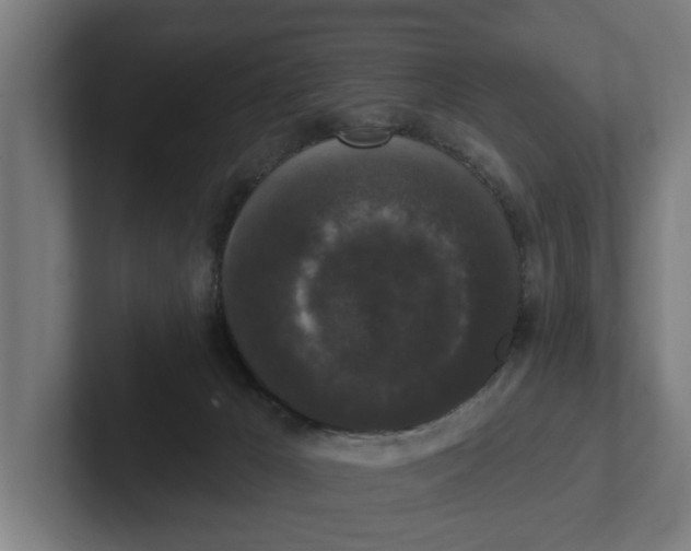 X0000102000029200808011131