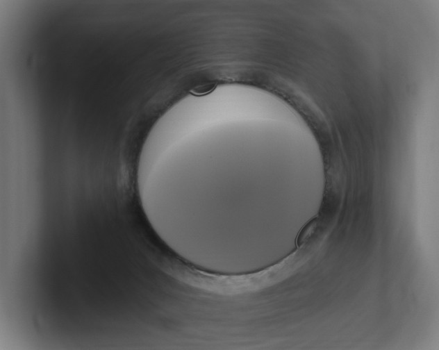 X0000102000031200808011131