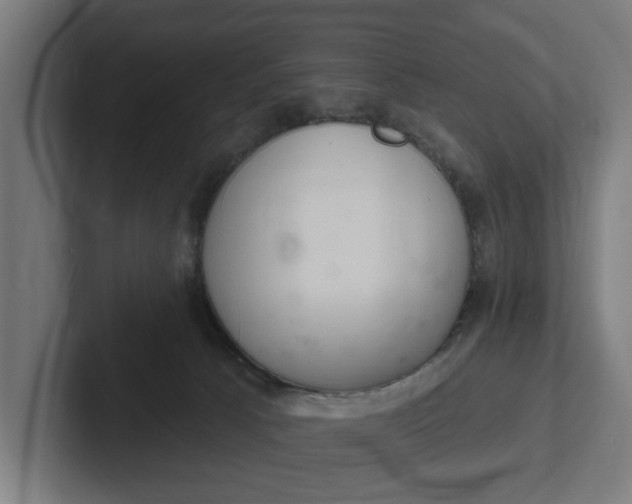 X0000102000033200808011131