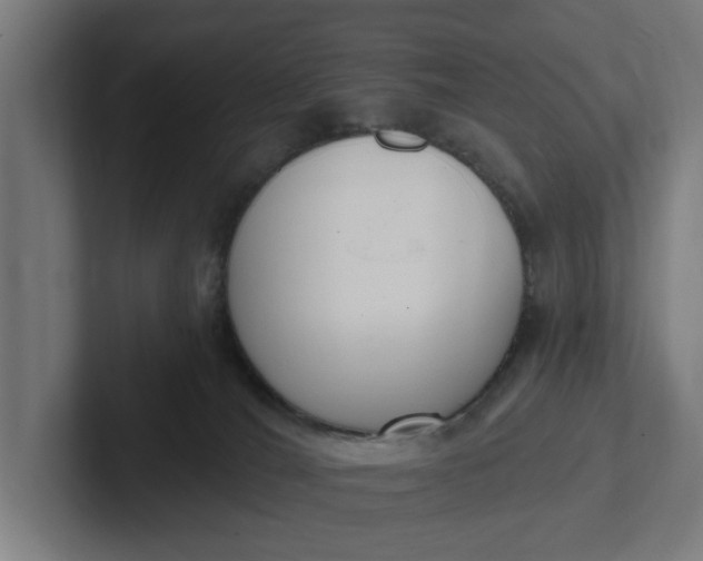 X0000102000036200808011131