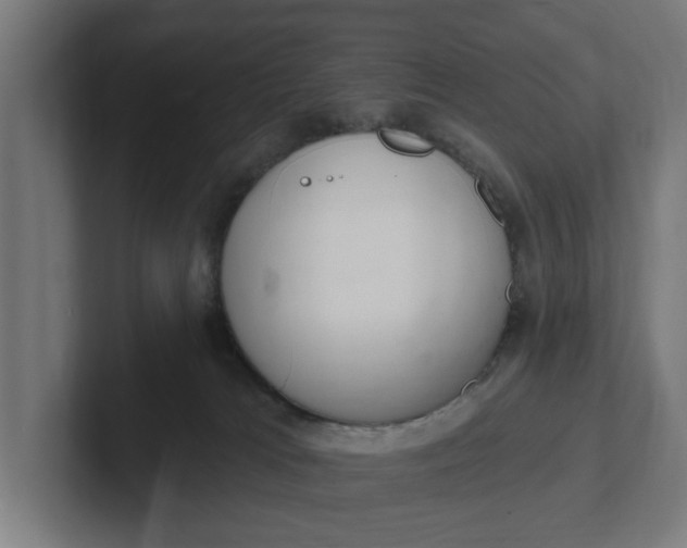 X0000102000037200808011131