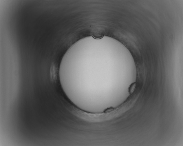 X0000102000038200808011131