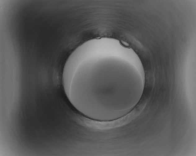 X0000102000039200808011131