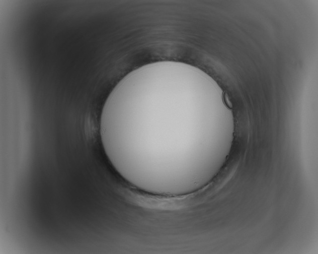 X0000102000040200808011131