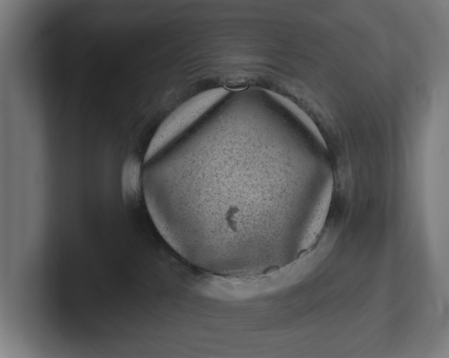 X0000102000041200808011131