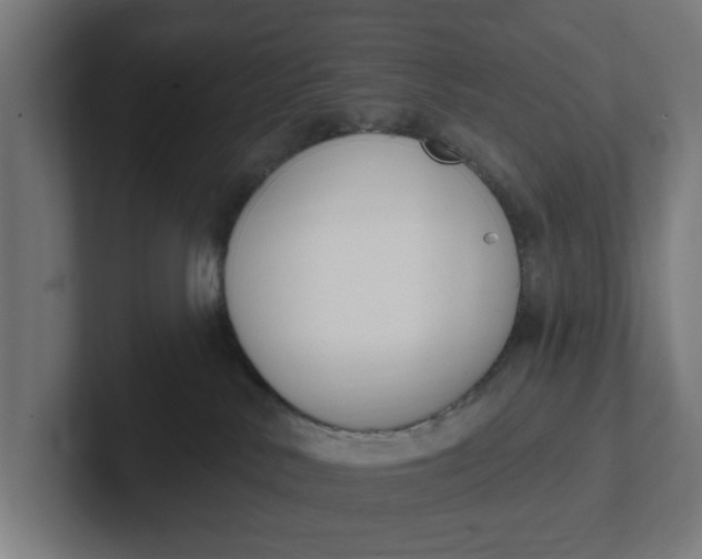 X0000102000042200808011131