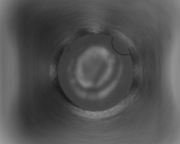 X0000102000043200808011131