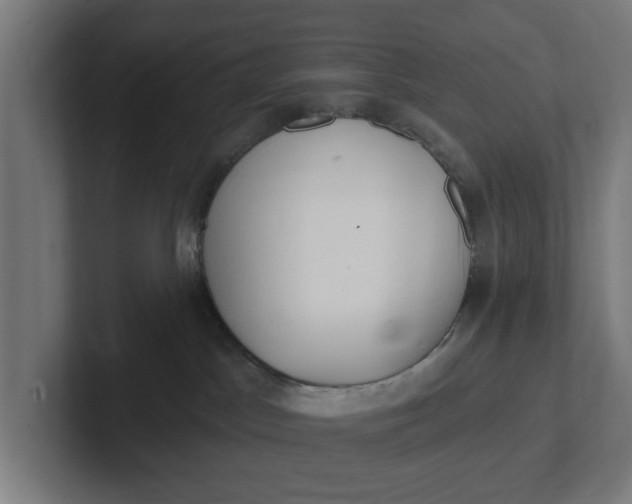 X0000102000045200808011131