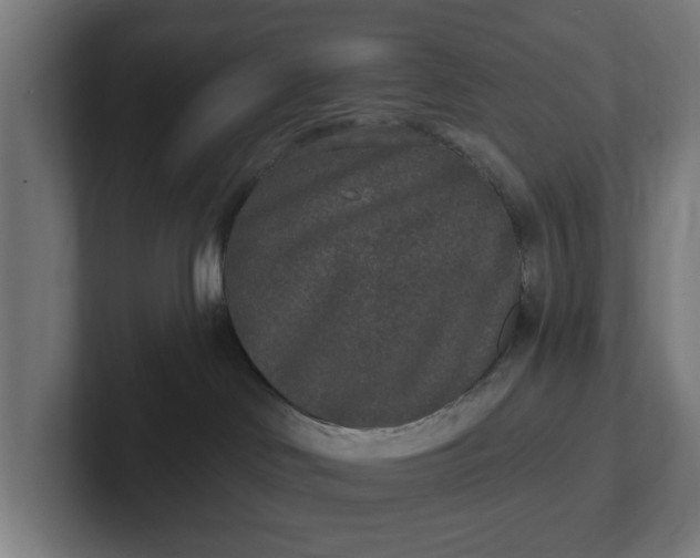 X0000102000046200808011131