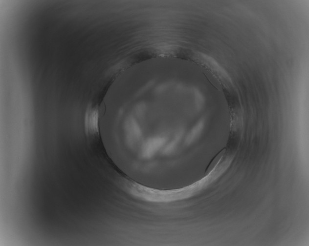 X0000102000047200808011131