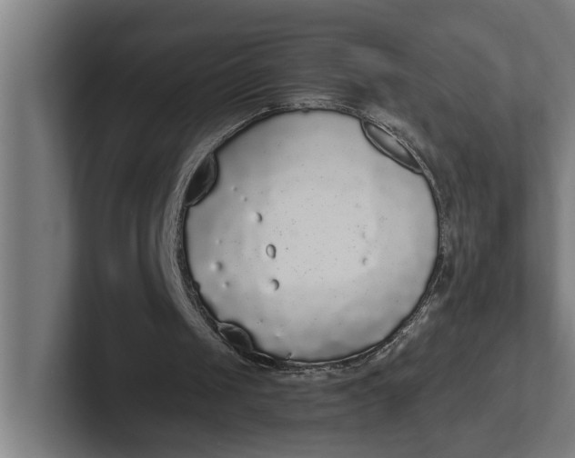 X0000102000049200808011130