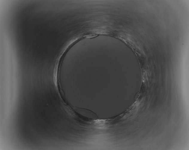 X0000102000052200808011130