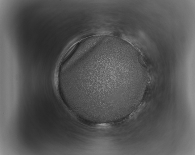 X0000102000053200808011130