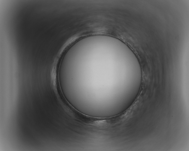 X0000102000054200808011130