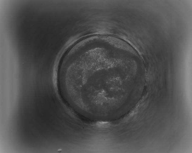 X0000102000055200808011130