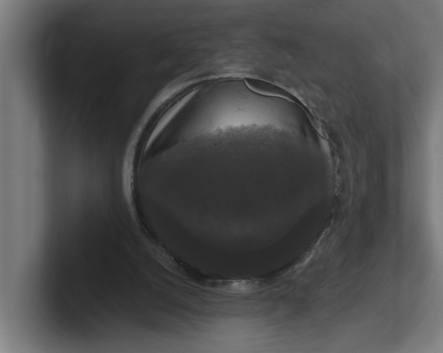 X0000102000056200808011130