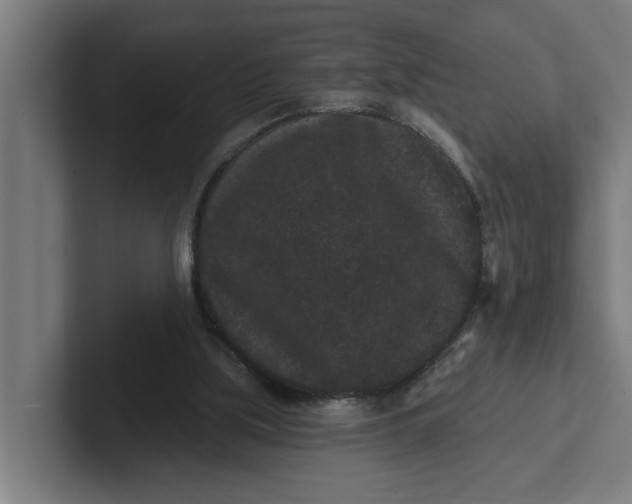 X0000102000059200808011130