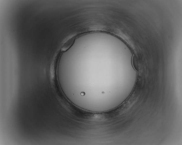 X0000102000060200808011130