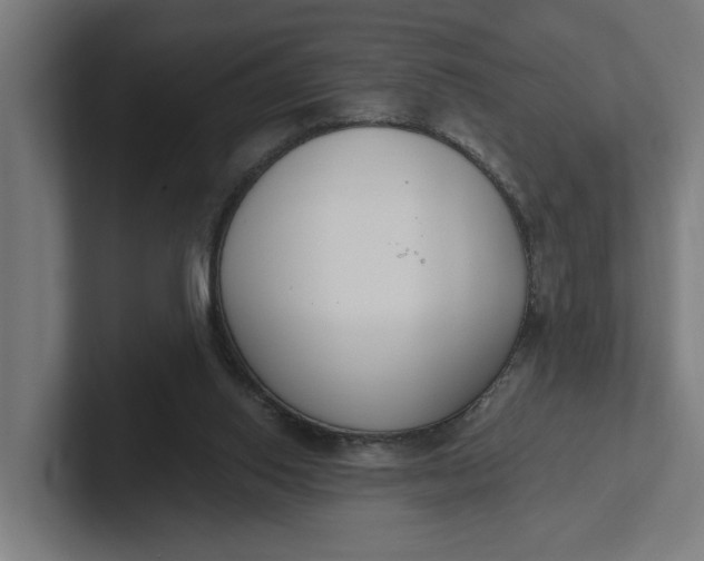 X0000102000062200808011130