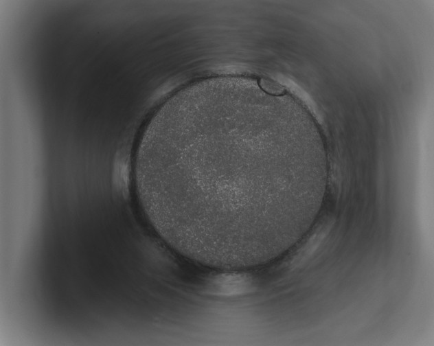 X0000102000063200808011130