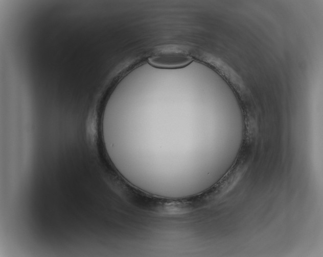 X0000102000064200808011130