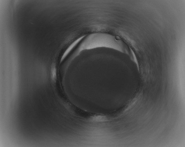 X0000102000067200808011130