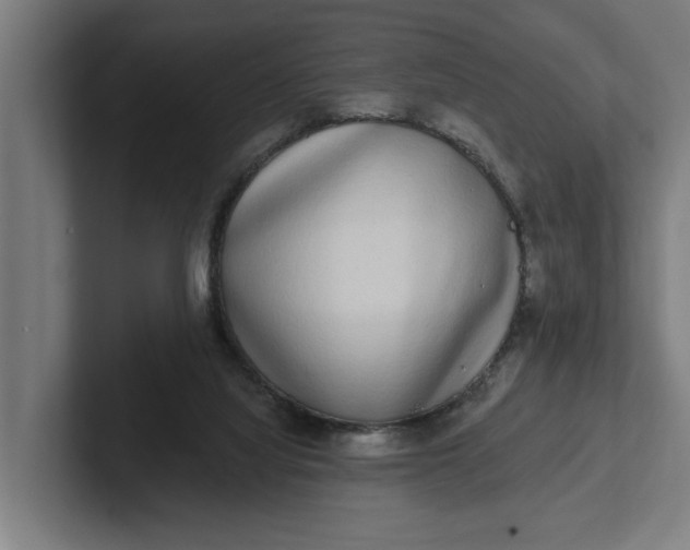 X0000102000068200808011130