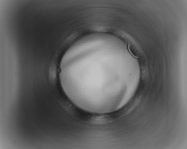 X0000102000072200808011130