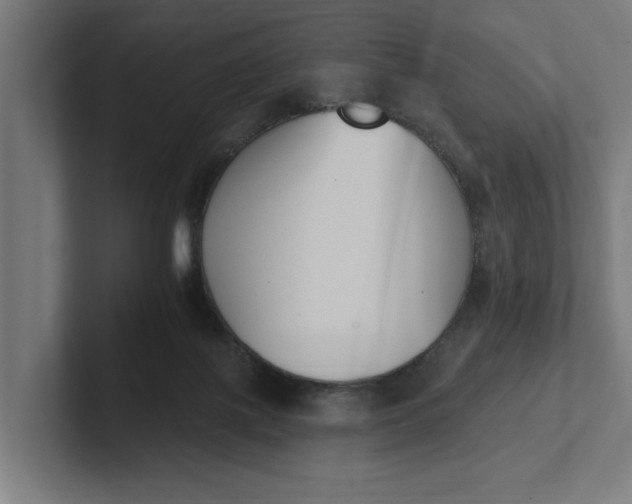 X0000102000075200808011130