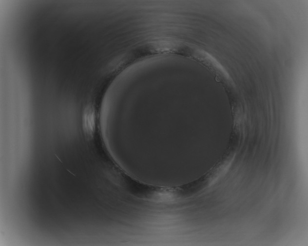 X0000102000076200808011130