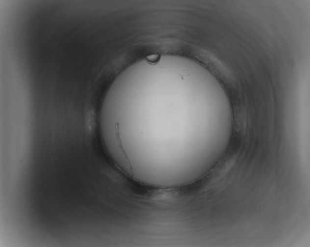 X0000102000077200808011130