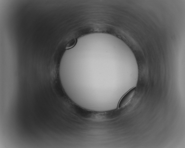 X0000102000078200808011130