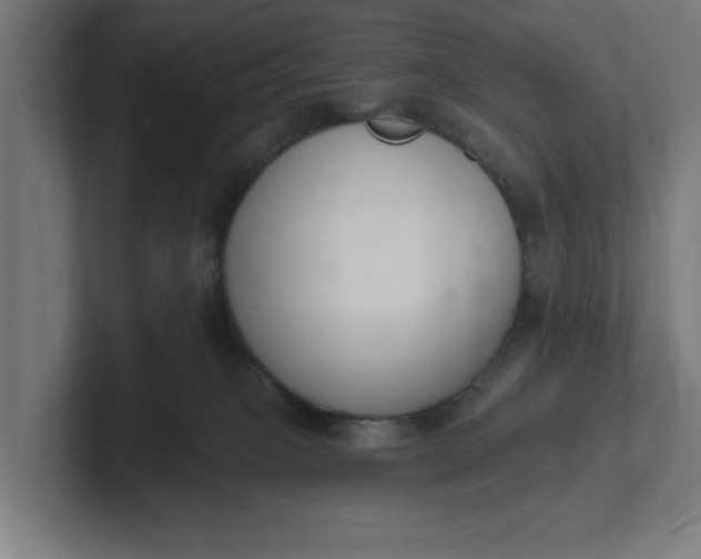 X0000102000085200808011130