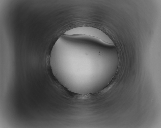 X0000102000096200808011131