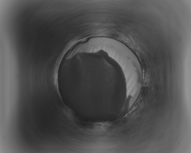 X0000102000099200808011130