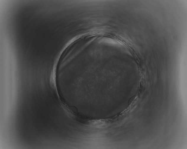 X0000102000100200808011130