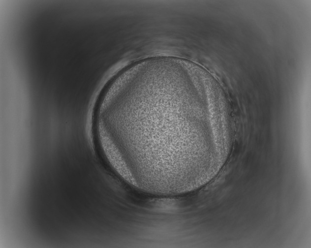 X0000102000104200808011130