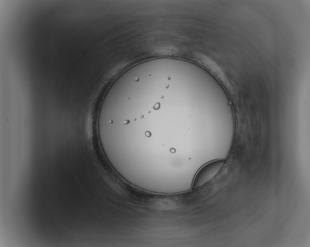 X0000102000106200808011130