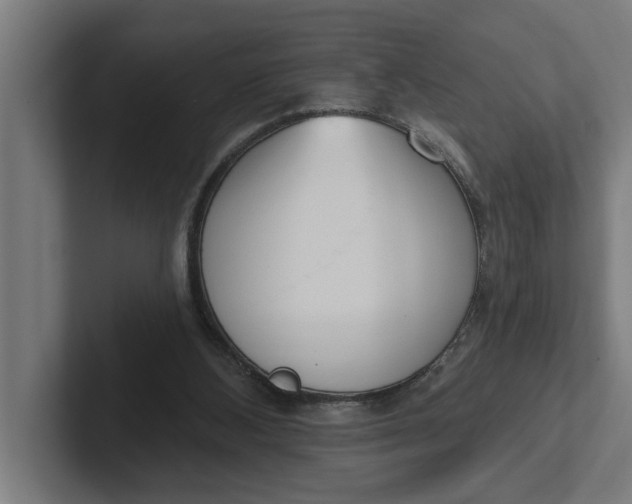 X0000102000108200808011130