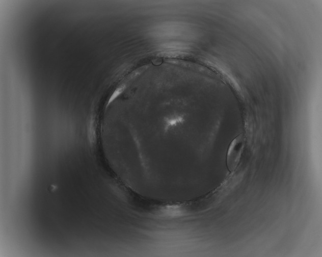 X0000102000114200808011130