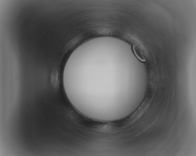 X0000102000116200808011130