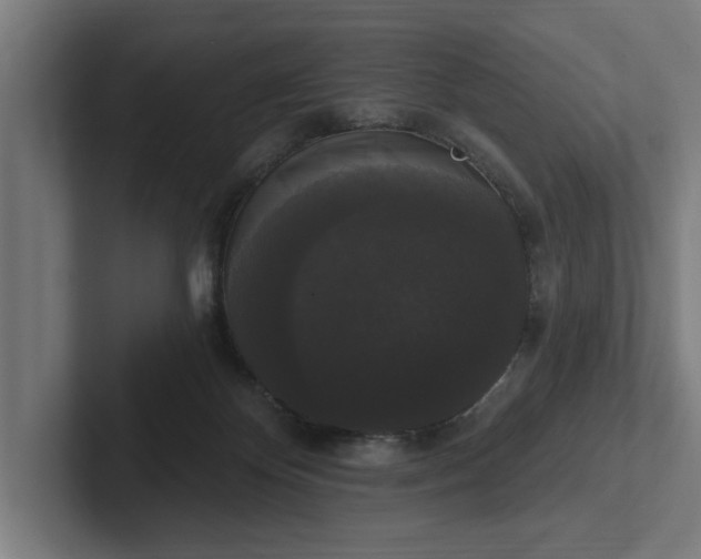 X0000102000124200808011129