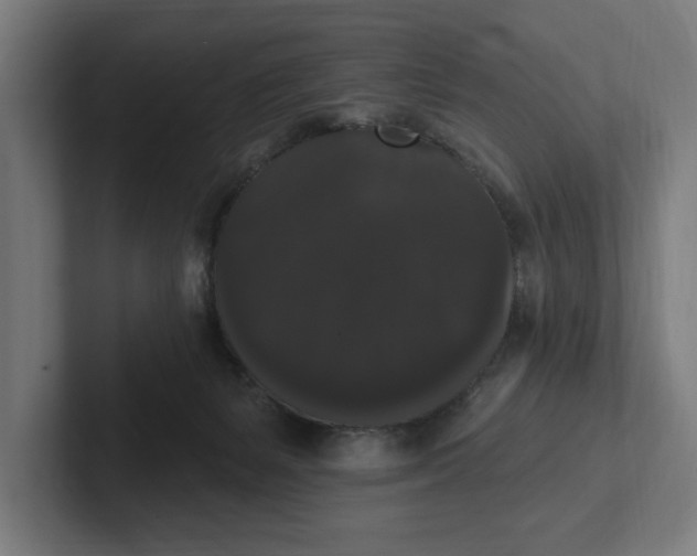 X0000102000127200808011129