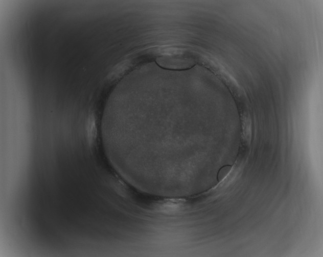 X0000102000128200808011129