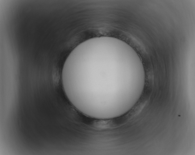 X0000102000129200808011129