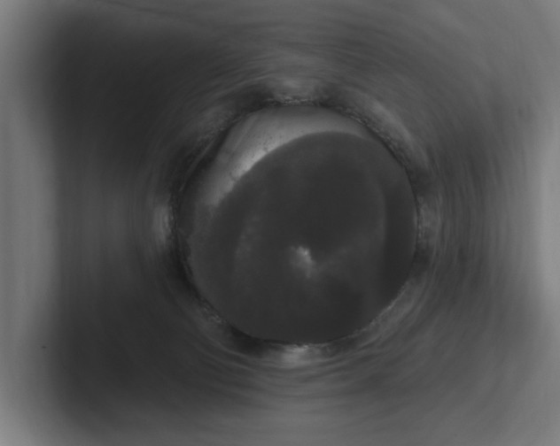 X0000102000130200808011129