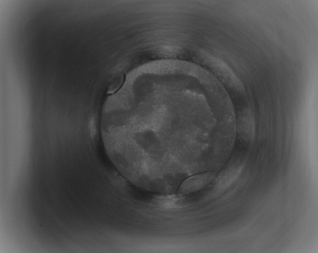 X0000102000131200808011129