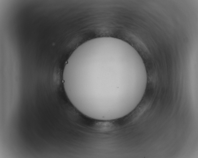 X0000102000133200808011129